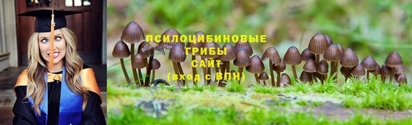 спиды Дмитров