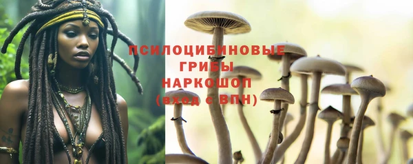 СК Дмитриев