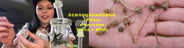 герыч Дмитровск