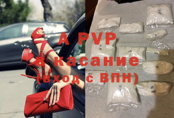 бошки Гусев