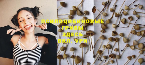 СК Дмитриев