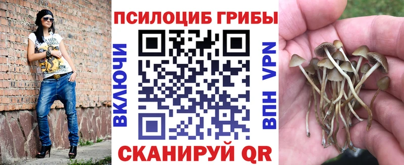 Купить закладки  Вилючинск  Галлюциногенные грибы MAGIC MUSHROOMS 